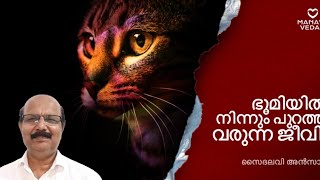 ദാബ്ബത്തുല്‍ അര്‍ള്‌ #allah #quran #prophet #islam #muslim | Saidalavi Ansari