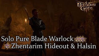 Solo Wyll Pure Blade Warlock Zhentarim \u0026 Halsin Prison Break Honor Run Part 8