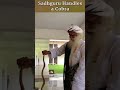 Sadhguru Handles a Cobra   Shorts