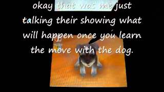 Nintendogs How to do the move shake