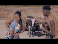 mond maya x massive mbwenge _pala nabeka official video director side effects_alienlab