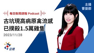 【新聞速報 Podcast】古坑現H5N1高病原禽流感 已撲殺1.5萬雞隻、銷毀3.5萬顆蛋｜20231128公視新聞網