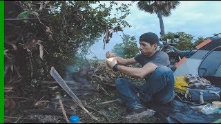 2DAYS SOLO Bushcraft Camping, Fire Palm Tree, Cooking Rice, Fish, Khmer Style #S1³