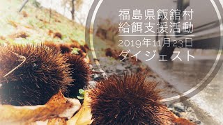 福島県飯舘村・給餌支援活動（11月）ダイジェスト