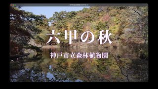 六甲山の秋、神戸市立森林植物園