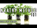 Kratky Method Hydroponics Explained