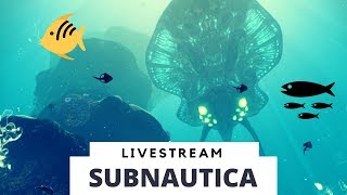 Under da sea (Subnautica)