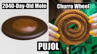 2040-Day-Old Mole at Pujol in Mexico City – The Best Restaurant in Mexico (CDMX Part 1)