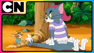 Tom \u0026 Jerry 😺🐭| Tom and  Jerry🧀| english | Cat and Mouse | Cartoon for Kids