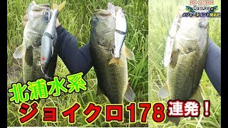 北浦水系　掘割川でジョイクロ178で釣れました(^^)前編