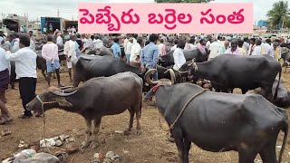 పెబ్బేరు బర్రెల సంత