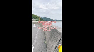 広島県呉市   #大崎下島 御手洗海岸 エギング アオリイカ・コウイカスポット