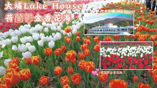 大埔LakeHouse鬱金香花海🌷