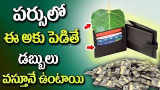 పర్సులో ఈ ఆకూ పెడితే డబ్బులు వస్తూనే ఉంటాయి | Mana Nidhi | Latest Devotional Tips