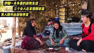 伊朗山区的游牧生活，三个女人在家照顾家庭，男人则外出放牧养家