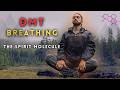 The Spirit Molecule: DMT Breathing Session w/ @alphaready  (3 Guided Rounds)