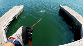 I Dropped XL Magnet Into Deep Lake (Magnet Fishing Austin, TX)