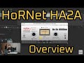 HoRNet HA2A vintage opto compressor overview