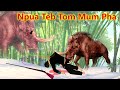 Npua Teb Tom Mum Pham Zam Foom 【13/12/2023】