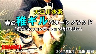 【バス釣り】春の稚ギルパターンメソッド：大江川水系（黒田 精司）