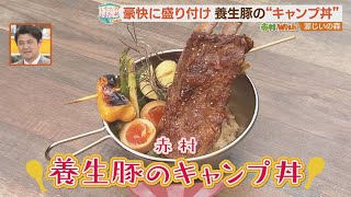 金賞に輝いたブランド豚で“キャンプ丼”【シリタカ！】