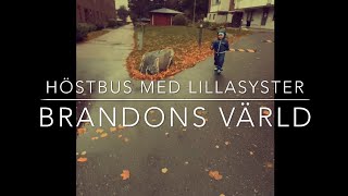 BRANDONS VÄRLD: Höstbus med lillasyster