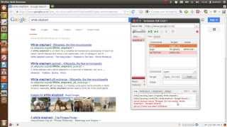 Selenium IDE Beginner Tutorial Record and Run Script Example
