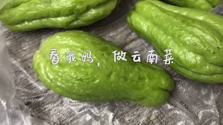 看我妈，做云南菜 - 鸡汤煮洋丝瓜