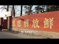 萬人小鎮10年變百人村，僅剩壹家羊肉店苦苦堅守，發生了什麽？【花花樂遊記】