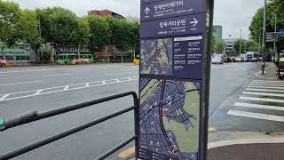 서울 서초구 양재역 말죽거리공원 대나무숲 Yangjae station bamboo woods Seoul  Korea