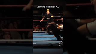 Crazy Spinning Heel Kick KO