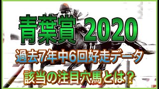 【青葉賞 2020】過去7年6回好走しているデータ鉄板穴馬を公開します。