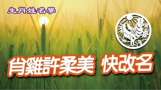 【生肖姓名學】緣啟金生-10：肖牛楊雅惠 宜單身 第159集