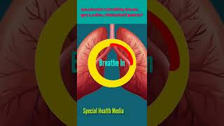 ഈ 1 എക്സർസൈസ് മതി നിങ്ങളുടെ ലങ്സിന്റെ കപ്പാസിറ്റി ചെക്ക് ചെയ്യാം സ്ട്രോങ്ങാക്കി മാറ്റാം#Lung #short