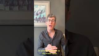 Nutrition for Fatigue: Why B12 is Key #shorts