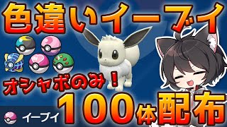 【ポケモンSV】オシャボ色違いイーブイ100体配布！※ボールは選べません