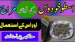 ustukhudus k fawaid ur us k istemalاسطوخودوس کے فوائد اور اس کے استعمال [Urdu|Hindi]