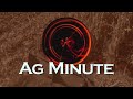 Ag Minute #915 Corn Maturity  (Air Date 9-2-18)