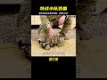 漂亮國空軍的特戰小隊，有哪些單兵裝備？總共130斤重 军事武器 军迷 涨知识 武器科普 终结者