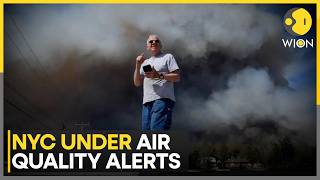 New York City Activates Heat Emergency Plan: Air Quality Health Advisory Issued For NYC | WION
