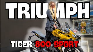 2025 Triumph Tiger Sport 800 | EICMA 2024