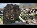 霧社櫻王大爆發「觀霧山莊」看雪山白雪皚皚，山椒魚生態中心