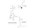 chem 407 glycolysis 2 phosphoglucose isomerase mechanism