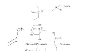 CHEM 407 - Glycolysis - 2 - Phosphoglucose Isomerase Mechanism