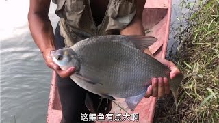 挑戰連續野釣260天第180 和飛行員最後一場決戰 收獲滿滿能否取勝