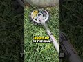 rotary scissors vs string trimmer lawncare enjoythemow