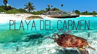 Playa del Carmen - Mexico 2016