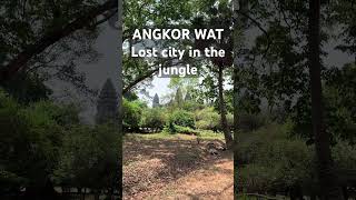 What's Hidden in the Jungle of Angkor Wat That You Won't Believe!