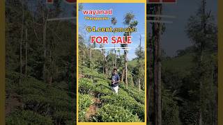 60സെന്റ് പ്ലോട്ട് for sale #homesforsale #ownland #realestate #wayand