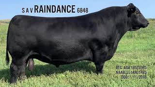 S A V RAINDANCE 6848